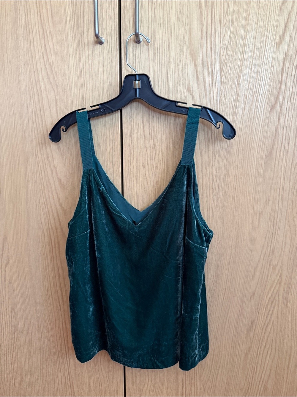 J. Crew Dark Green Lined Velvet V-Neck Camisole